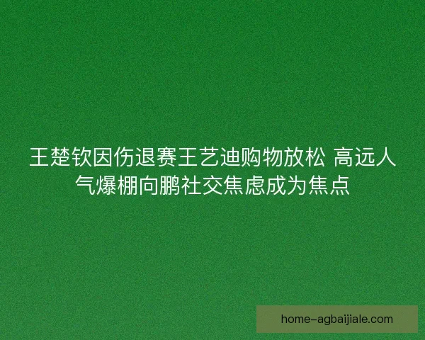 王楚钦因伤退赛王艺迪购物放松 高远人气爆棚向鹏社交焦虑成为焦点